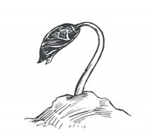 dietetyk psychodietetyk online